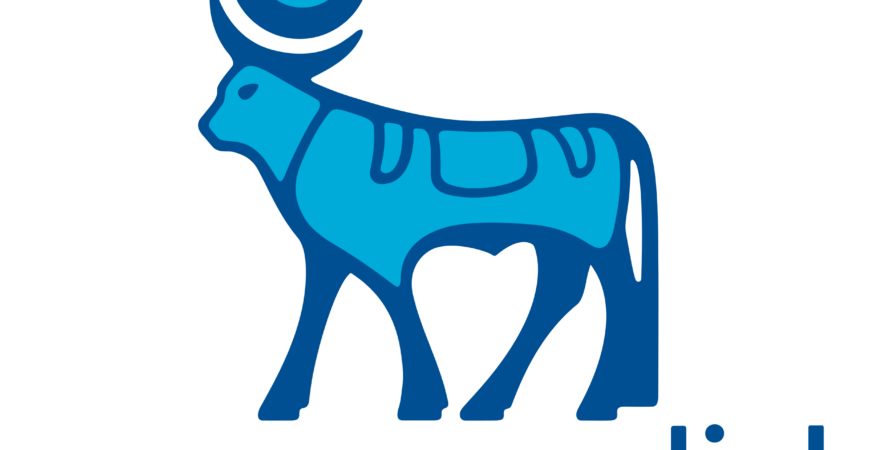 single-image